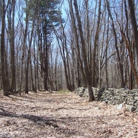 additional-3